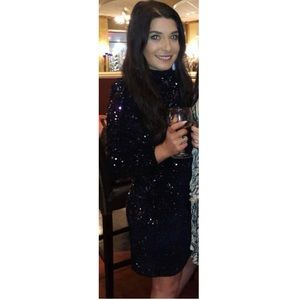 Sequined Long Sleeve Fitted Zip Back Dress